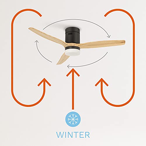 Create - Windcalm Ceiling Fan with Light, Natural Wood, Black, Remote Control, Summer-Winter Mode, 6 Speeds, 3 Light Temperatures, Timer, 40W, Ø132 cm