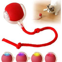 Zephorus Interactive Pet Chase Ball with Speedy Tail Rope