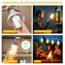 Birnetek - E27 LED Bulb 6W USB-C Rechargeable, Remote & Touch Control, Dimmable with Timer, Emergency Light, 2-Pack