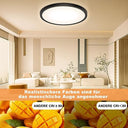 Ouila - Modern 30 cm LED Ceiling Light, 24W, 3000K Warm White, Black