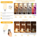 Birnetek - E27 LED Bulb 6W USB-C Rechargeable, Remote & Touch Control, Dimmable with Timer, Emergency Light, 2-Pack