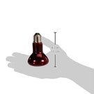 Exo Terra - Infrared Basking Spot Lamp, 75 W