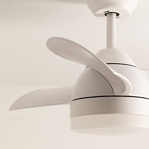 Create - WindRound White Ceiling Fan with Light, Remote, 6 Speeds, 3 Light Temperatures, Summer-Winter Mode, 1-4 Hour Timer, 40W, Ø76 cm