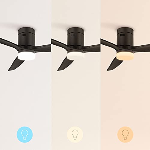 Create - Windcalm Ceiling Fan with Light, Remote, Wi-Fi, 132cm, Quiet, 6-Speed, DC Motor