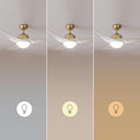 Cecotec Ceiling Fan With Light - 60W, Remote Control, 3 Speeds