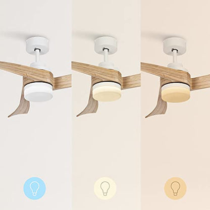 Create - Wind Curve Ceiling Fan, Natural Wood, Remote Control, 132 cm, Quiet DC Motor, 6 Speeds, Timer