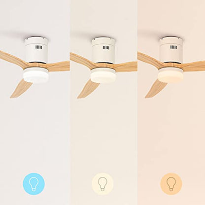 Create - WinDCALM Ceiling Fan, White, 132cm, 6 Speeds, DC Motor, Remote & Wall Switch