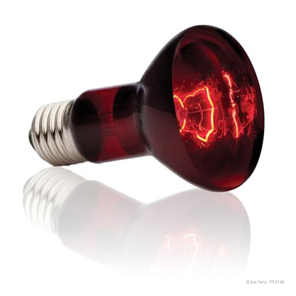 Exo Terra - Infrared Basking Spot Lamp, 75 W