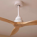 Cecotec - EnergySilence Aero 590 Fan with 70W Power, 3 Blades, Remote Control