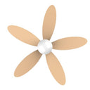 Cecotec - 40W Ceiling Fan with DC Motor, 5 Reversible Blades & LED Light