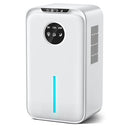 Imspace Large Capacity Dehumidifier - 2.2L, Automatic Defrosting