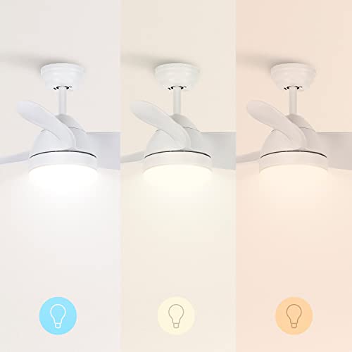 Create - WindRound White Ceiling Fan with Light, Remote, 6 Speeds, 3 Light Temperatures, Summer-Winter Mode, 1-4 Hour Timer, 40W, Ø76 cm