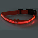ChiliTec - LED Dog Collar with Sturdy Clip, Metal Ring, Size S-XL, Red