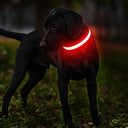 Masbrill - LED Dog Collar, Rechargeable, Waterproof, High Visibility Glow