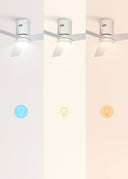 CREATE Ceiling Fan with White Light and Remote Control
