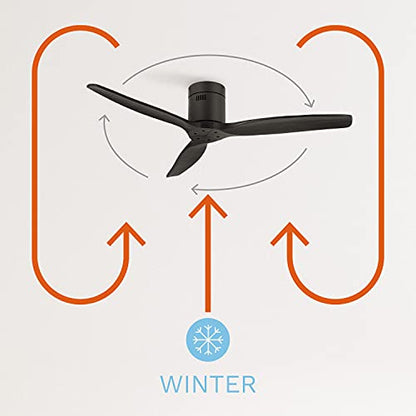 Create - Windcalm Quiet Ceiling Fan, Remote Control, 132 cm, 6 Speeds, DC Motor