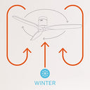 Create - Windcalm DC Ceiling Fan with Remote, Nickel/Dark Wood, 40W, Silent, 132cm, 6 Speeds, Timer, Summer-Winter Mode