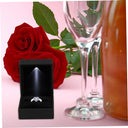 Valiclud - LED Lighted Proposal Storage Case for Engagements & Anniversaries