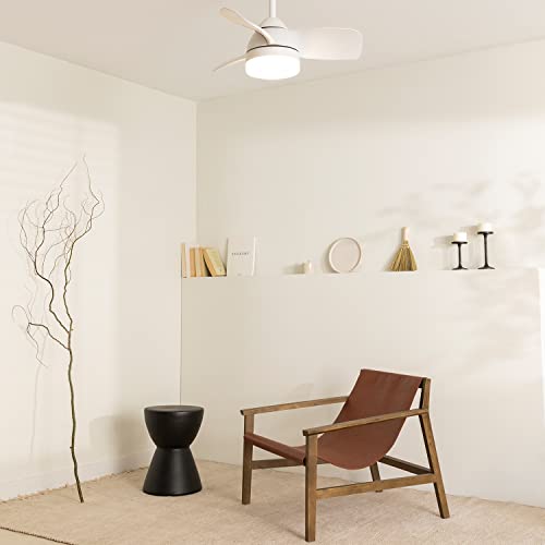 Create - WindRound White Ceiling Fan with Light, Remote, 6 Speeds, 3 Light Temperatures, Summer-Winter Mode, 1-4 Hour Timer, 40W, Ø76 cm