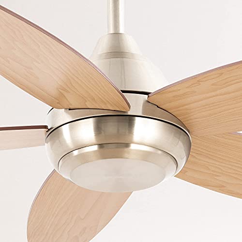 Create - Windflouwood Ceiling Fan with Remote, Quiet Reversible Blades, 3 Light Settings, 107cm