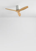 CREATE WindCalm S Ceiling Fan with Light and Remote Control