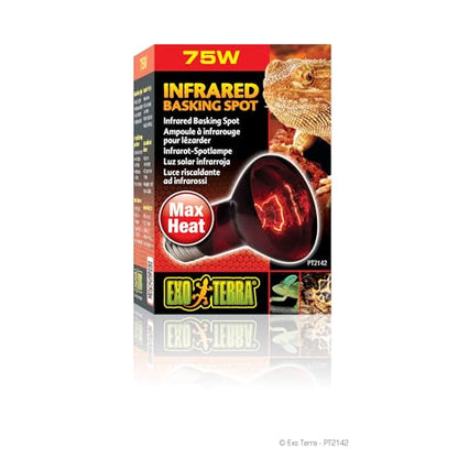 Exo Terra - Infrared Basking Spot Lamp, 75 W