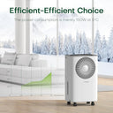 Conopuplus - 12L/day Dehumidifier with Continuous Drain, Auto Mode & Sleep Timer