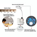 Hallocool - Astronaut Desk Lamp with Projection Light, Pen Holder, Eye-Caring LED
