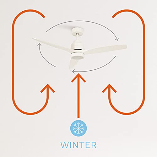 Create - Windstylance Ceiling Fan, 132cm, Quiet DC Motor, Remote, 6 Speeds, Timer, Dual Mode
