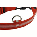 ChiliTec - LED Dog Collar with Sturdy Clip, Metal Ring, Size S-XL, Red