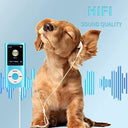 Luqeeg - Portable Lossless Sound MP3 Player with 1.8" LCD Screen & Earphones