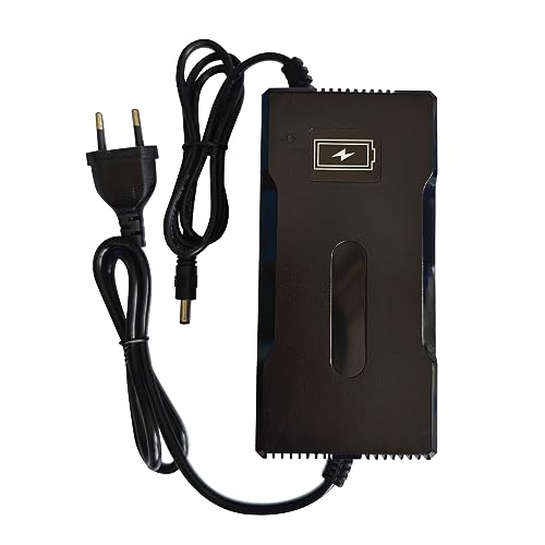 Aunstarwei - 54.6V 4A Power Supply Adapter for 48V 13S Lithium-Ion Battery
