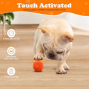 Barrgalin - Smart Automatic Bouncing Dog Toy with Motion Activation & Flash Lights