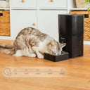 Cecotec - Smart Automatic Pet Food Dispenser with Wi-Fi Control, 6L Capacity