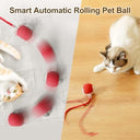Zephorus - Interactive Rechargeable Pet Chase Ball with Speedy Tail Rope