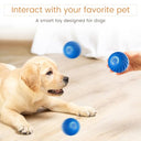Pakesi - Interactive Dog Toy, Durable Bouncing Ball, USB Rechargeable, Fun for Small & Medium Dogs