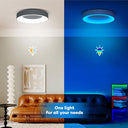 Matane - Dimmable LED Ceiling Light 24W with Remote, 3000K-6500K Color Range