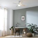 Cecotec Ceiling Fan With Light - EnergySilence Aero 450, 50W Motor, 3 Speeds