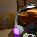 Wilit - Dimmable Gooseneck LED Desk Lamp with Touch Control & Colorful Light