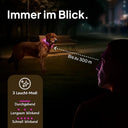 Luminous - LED Dog Collar for Small & Large Dogs, Rechargeable, Weatherproof