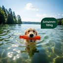 Romneys - Robust Floatable Dog Training Dummy 500g, Tear-Resistant Canvas