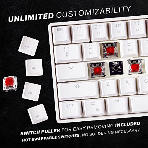 GK61 - 60% Mechanical Gaming Keyboard | 61 RGB Backlit Keys | Hotswap Brown Switches