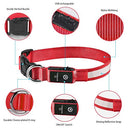 Masbrill - LED Dog Collar, Rechargeable, Waterproof, High Visibility Glow