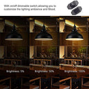 Aanyhoh - Dimmable Vintage Outdoor Pendant Lamp with Plug, Black Metal, E27 Socket