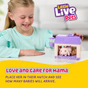 Little Live Pets - Mama Surprise Minis Bunny with 2-4 Mini Babies to Care For