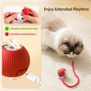 Zephorus - Interactive Rechargeable Pet Chase Ball with Speedy Tail Rope