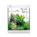 Ica 10L Nano Aqua Aquarium Set with LED Lighting - Stylish Home Decor