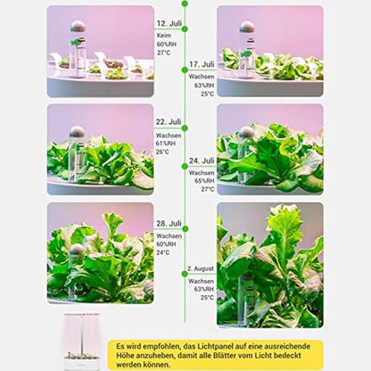 GOLUMUP - Hydroponic Growing System Smart Garden with Timer & 26W LED Lamp