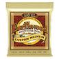 Ernie Ball - Earthwood Custom Medium 80/20 Bronze Acoustic Guitar Strings
