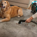 Cecotec Upholstered Vacuum Cleaner Conga Popstar 3000 - 3-in-1 Functionality